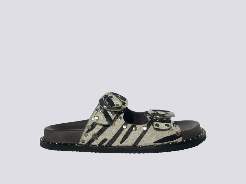 CARMELA   ZEBRA  27056