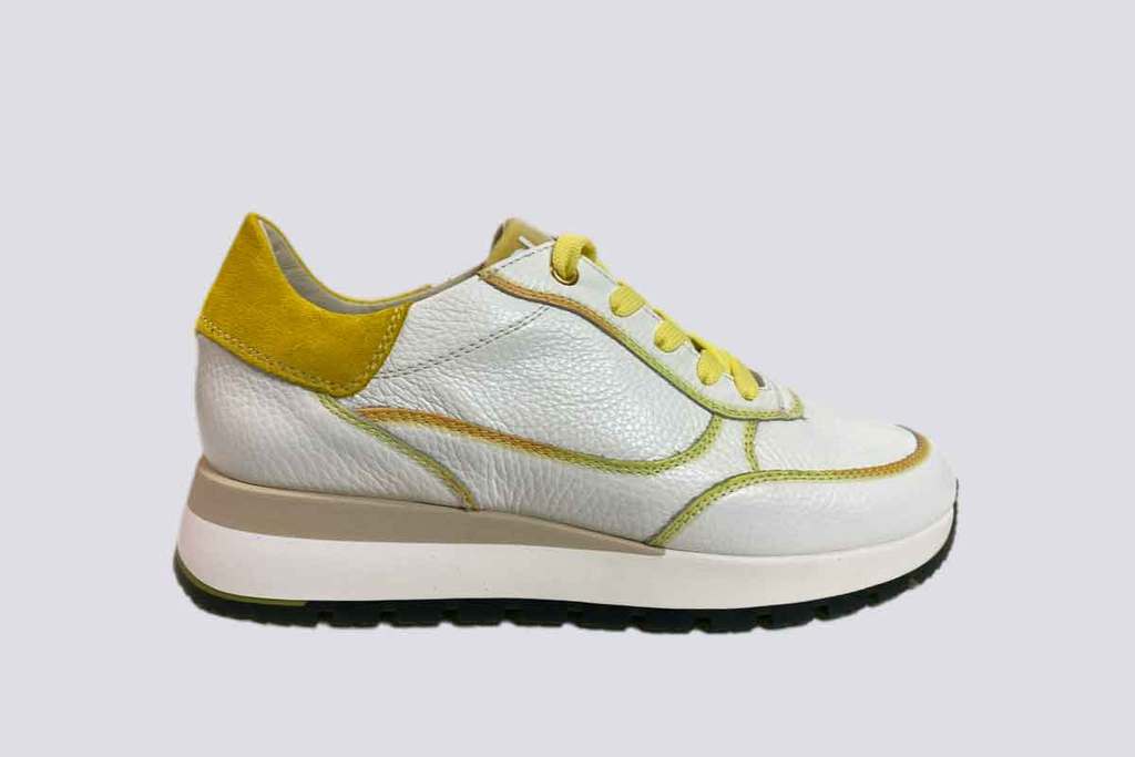DLS  Yellow  24645