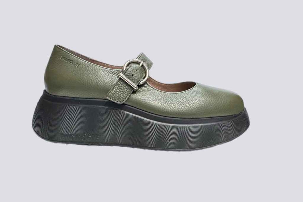 Wonders Alga  25614