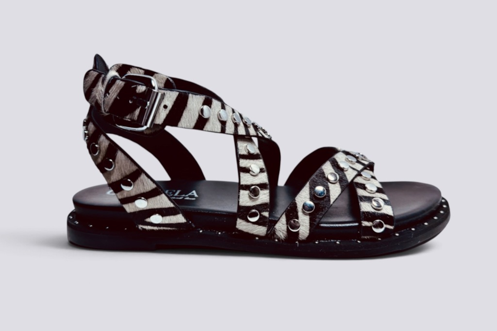 CARMELA   ZEBRA  27393