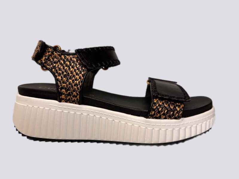 Carmela BLACK  26243