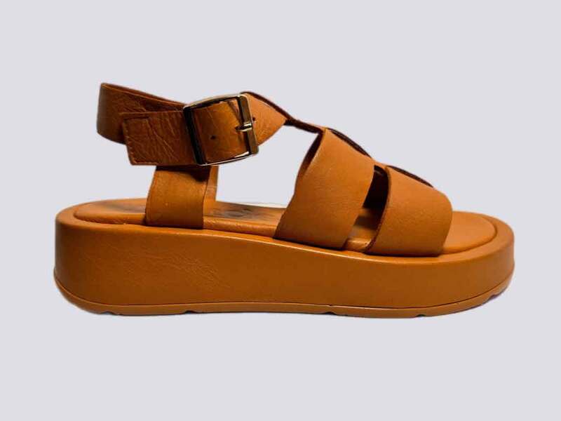 Wonders Coconut  26403