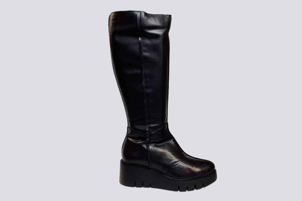 Wonders 23624 BLK